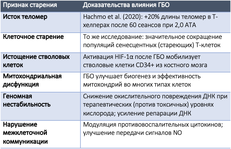 snimok_ekrana_2026-04-02_v_10.26.31.png